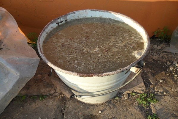 kuřecí trus v kbelíku 