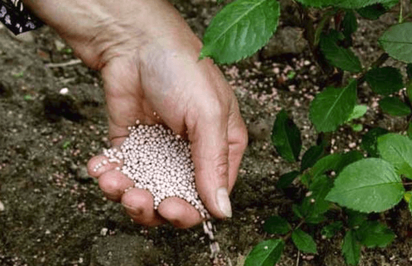 potassium fertilizer