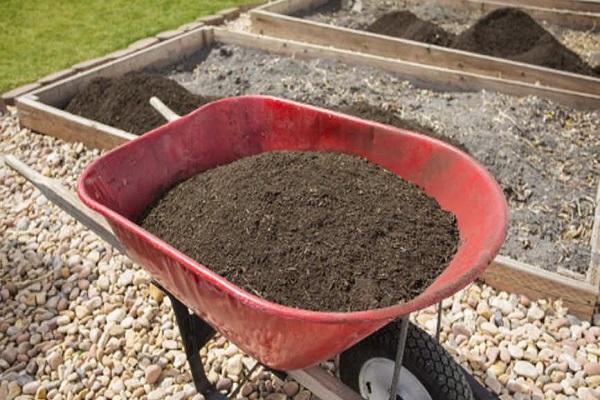 compost in a wheelbarrow