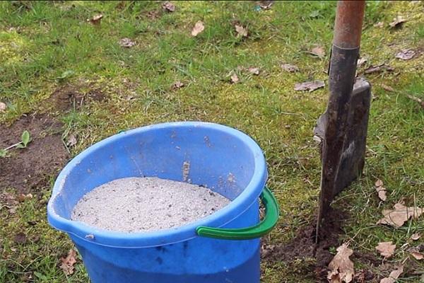 ash in a bucket 