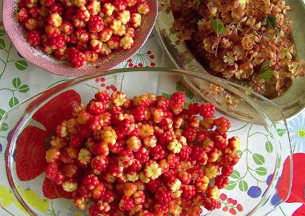 Imbakan ng Cloudberry