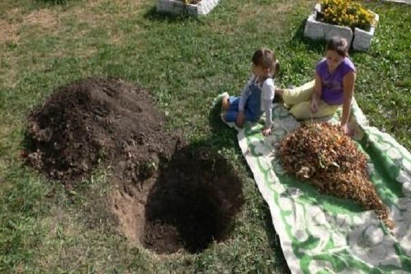 planting area 