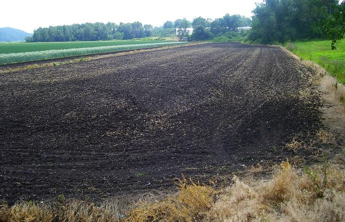 plowed field 