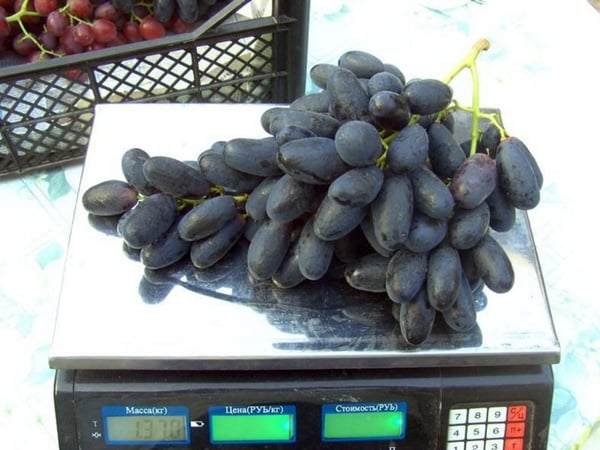 uvas grandes na balança 