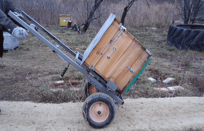 Transport von Pasiki 