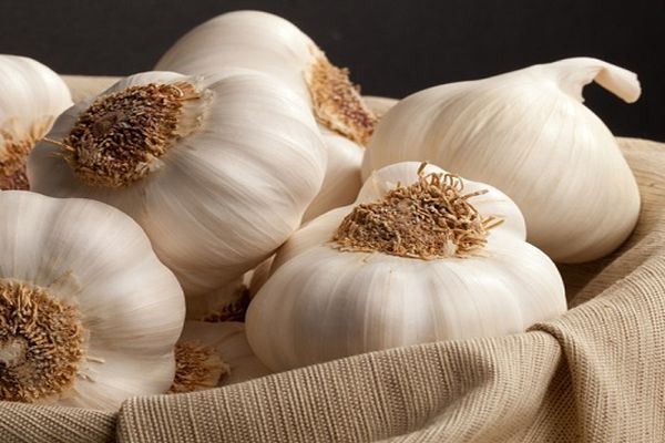 Knoblauch in einer Tüte