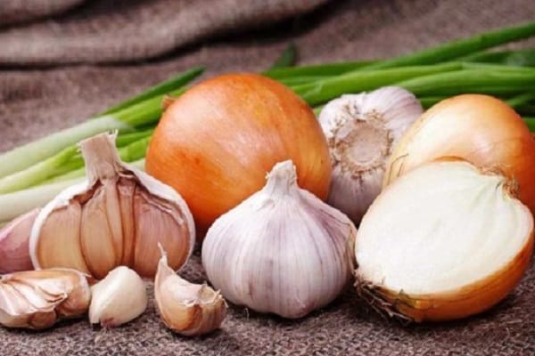 bulb onions