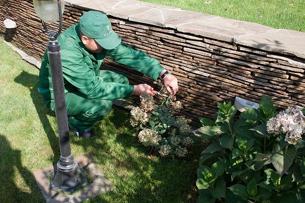 jardinero callejero 