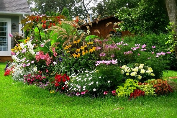 parterre de fleurs