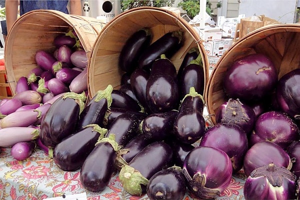 Aubergines zijn schadelijk 