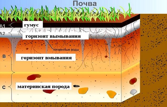 концепт тла