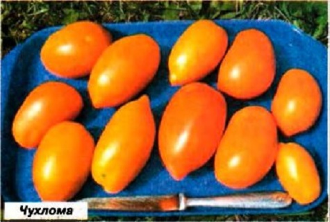 tray of tomatoes 