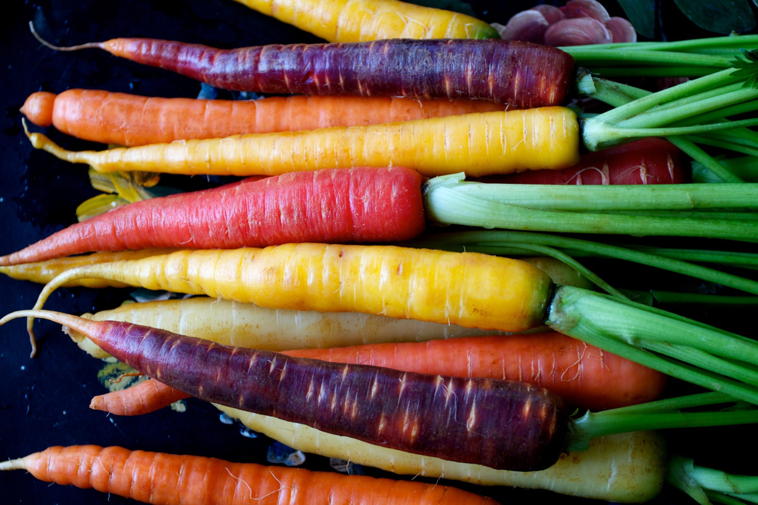 colorful carrots