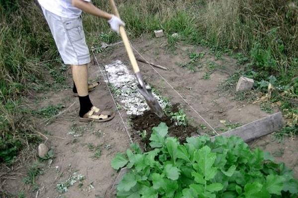 campo abierto