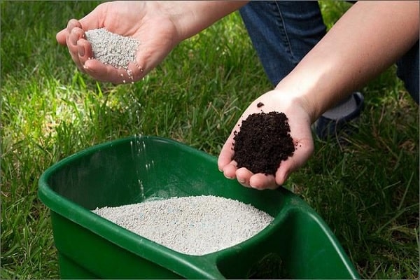 fertilizado con materia orgánica