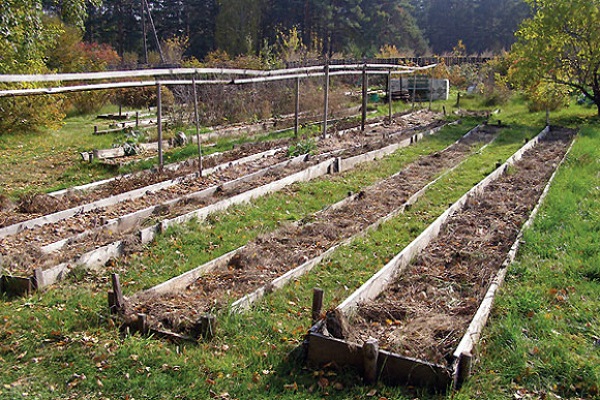 as colheitas foram cultivadas