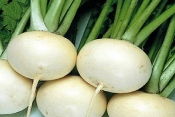 Cumes Daikon