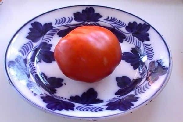 rajče na talíři