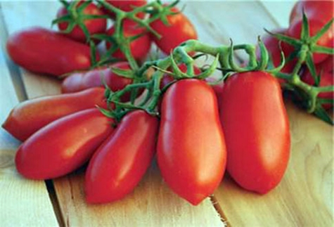 tomato lady fingers on the table