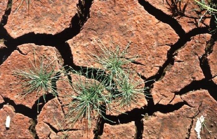 earth with cracks 