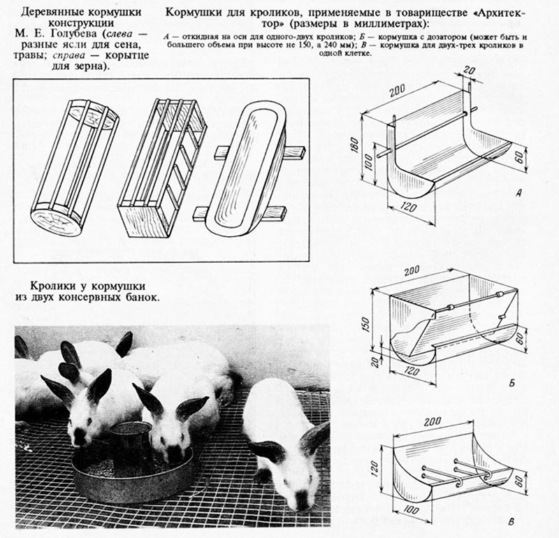 Dimenzije i crteži 10 najboljih vrsta hranilica za kuniće