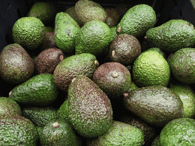 grøn avocado