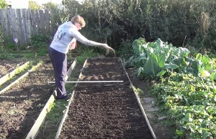 summer planting 