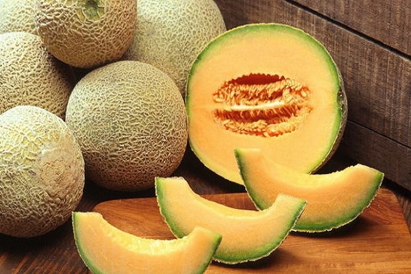 Altajský meloun
