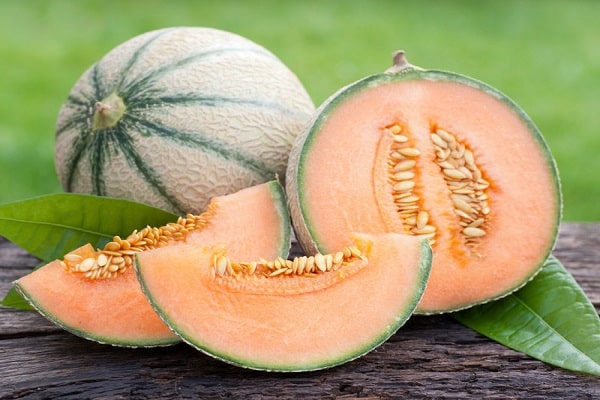 meloni cantaloupe