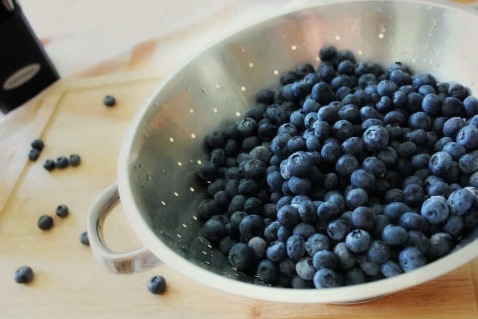 blueberries in a bowl