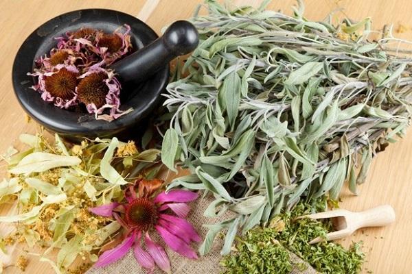 working with herbs 