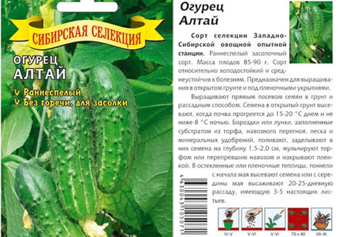 semena okurky Altaj
