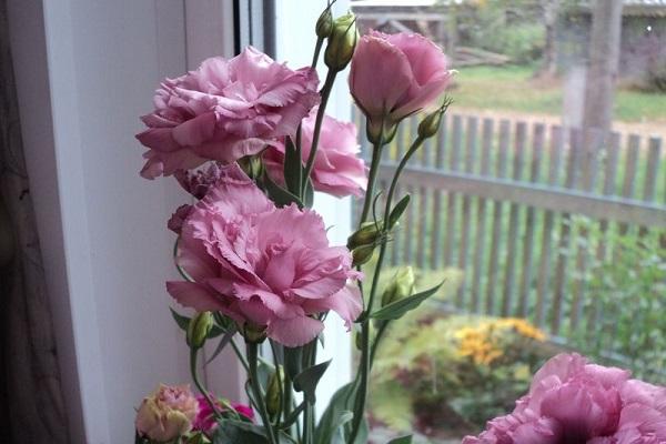 bouquet by the window 