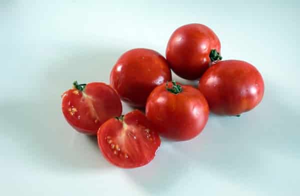 vzhled rajčat Evgeniya