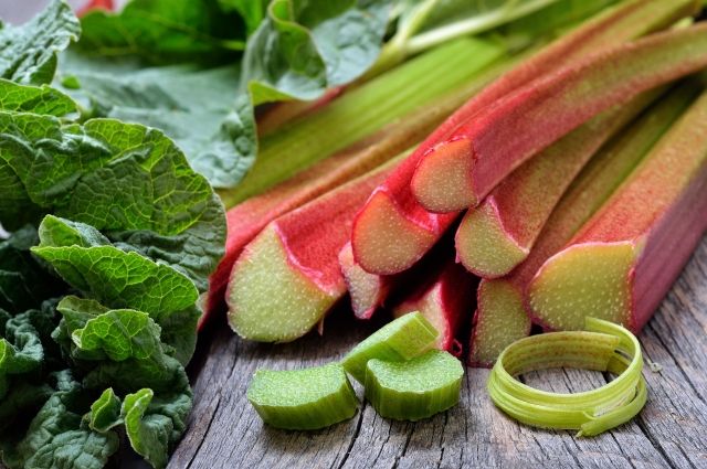 Mga kapaki-pakinabang na katangian ng rhubarb