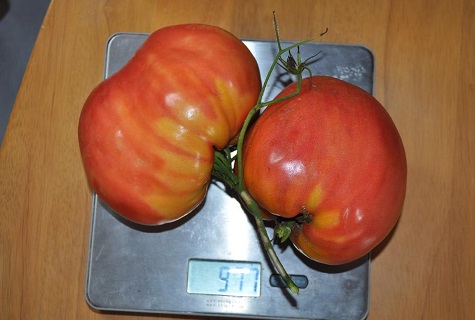 vegetables on the scales 