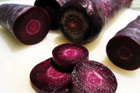 appearance of purple carrots 