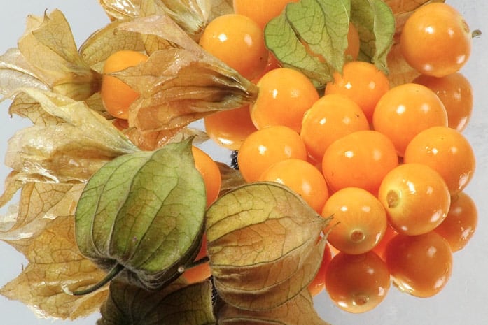 zralý physalis