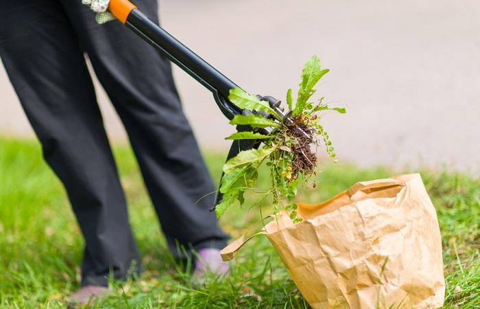 grass removal