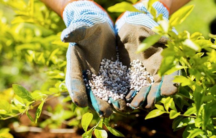 hands in granules 