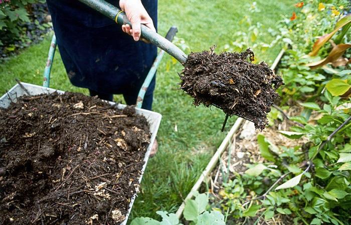 pelle à compost 