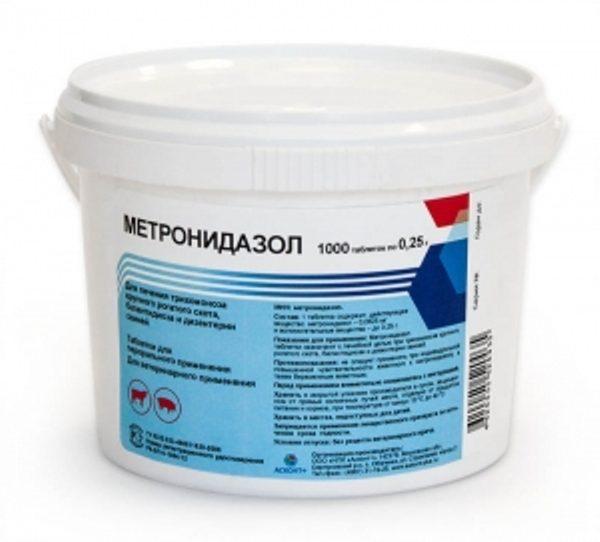 metronidazole cho chim bồ câu liều lượng với nước