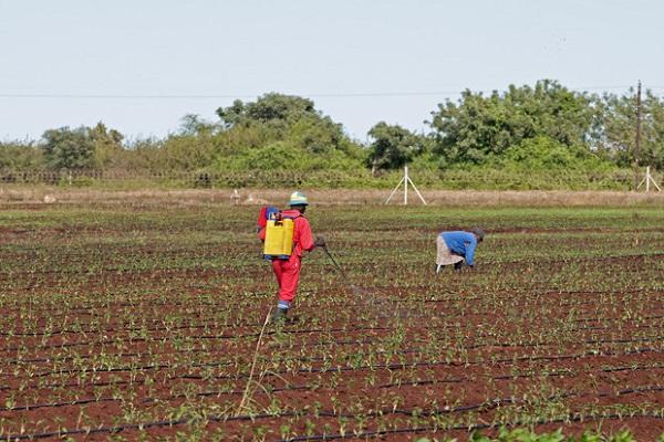 pessoas no trabalho 