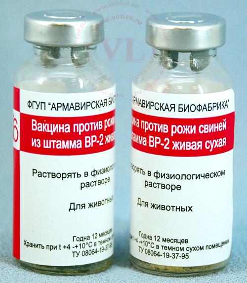 vaccine against erysipelas