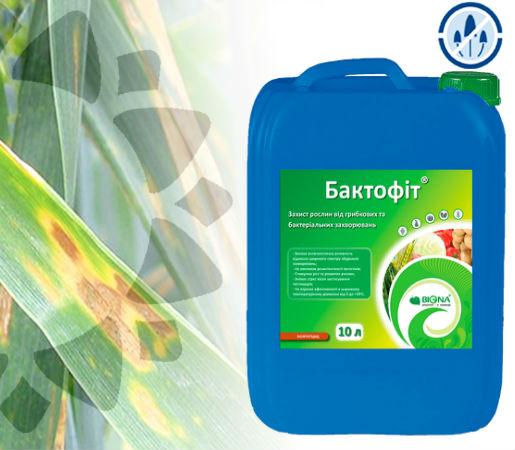 Baktofit fungicide