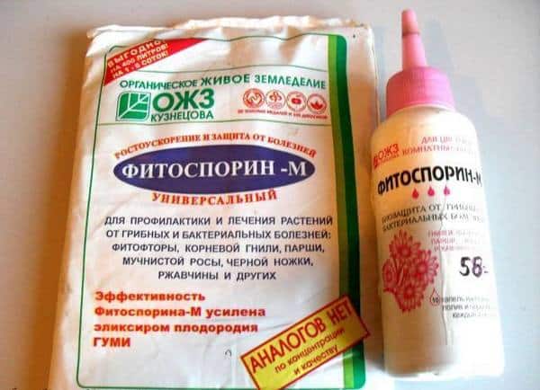 fytosporin pro hrozny