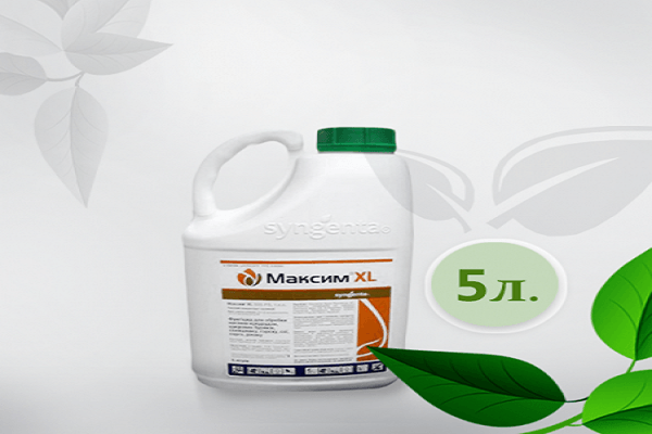 fungicide Maxim 