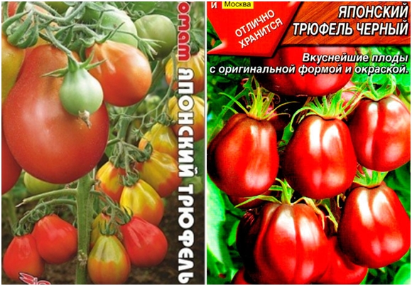 Japanese truffle tomato seeds