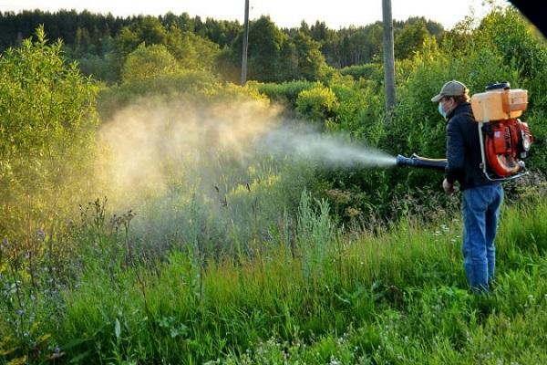 konzumace herbicidů 