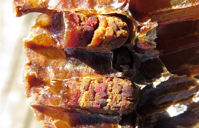 getrocknetes Bienenbrot 